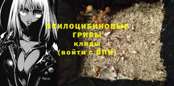 стафф Абинск