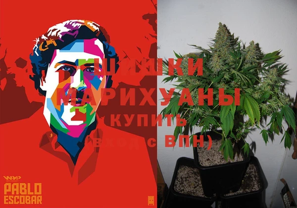 дурь Вязьма