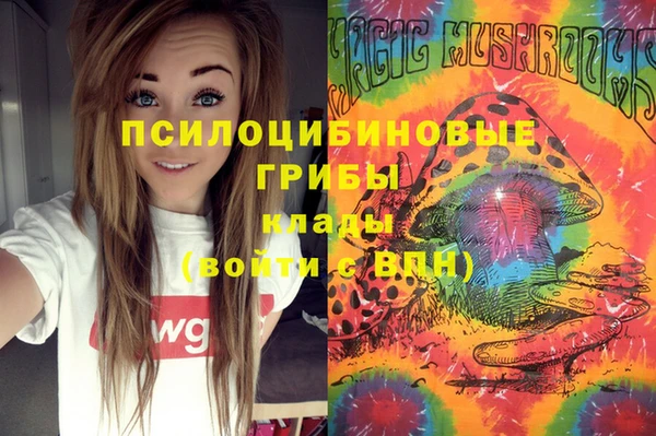 стафф Абинск