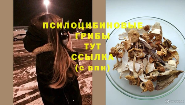 mdpv Няндома