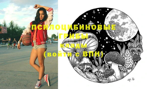 стафф Абинск