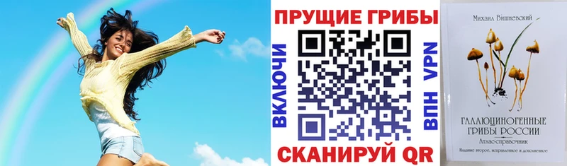 Галлюциногенные грибы ЛСД OMG ссылки Никольск